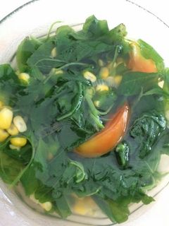 Foto resep Sayur Bayam / Sayur Bening