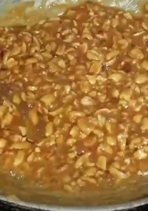 A picture of Chikki.