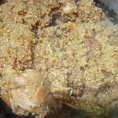 A picture of Pharaira Daliya in leftover Salan.