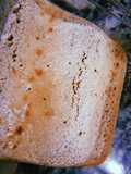 Semi-bizcocho de avena