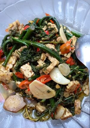 Foto resep Tumis pakis tempe