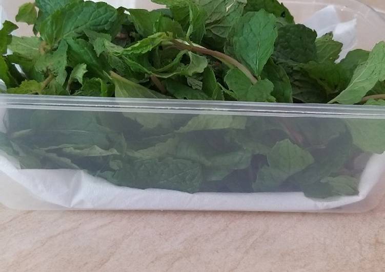 Langkah Mudah untuk Membuat Cara menyimpan daun mint Anti Gagal