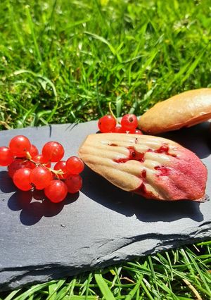 Une photo de Madeleines aux groseilles