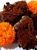 Calabaza cristalizada