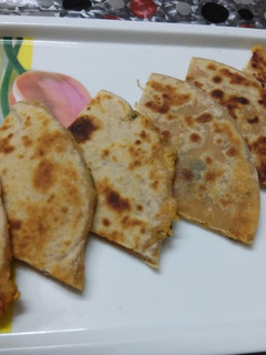 પનીર ઓનીઓન ગર્લિક પરાઠા(paneer onion garlic parotha recipe Gujarati) રેસીપી મુખ્ય ફોટો