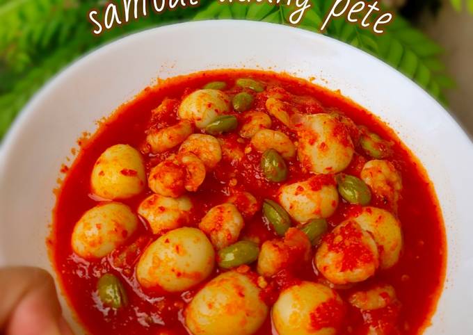 Resep: Sambal Udang Pete Enak Terbaru