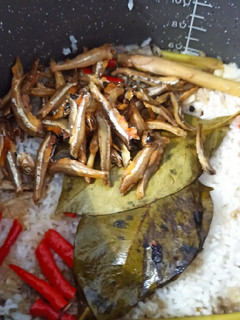 Foto resep Nasi Liwet Teri Jengki