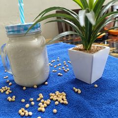 A picture of Soy Milk.