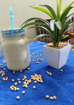 A picture of Soy Milk.