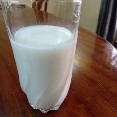 Oat milk A picture of Oat milk.