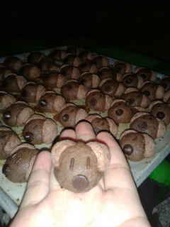 Foto resep Kue Kering: Choco Crunch