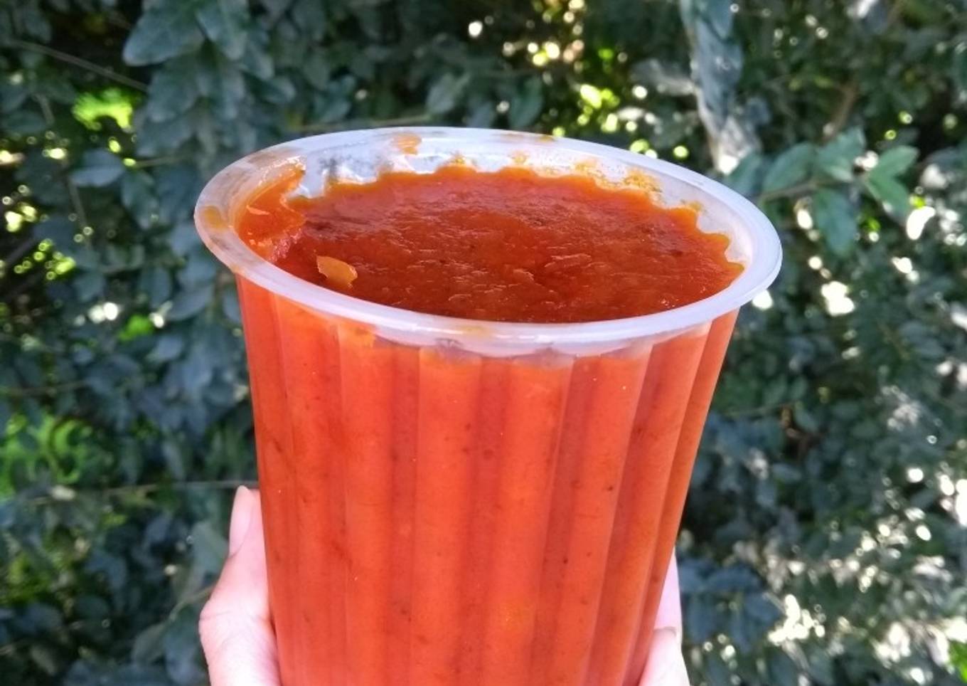 Salsa de tomate para frezzar