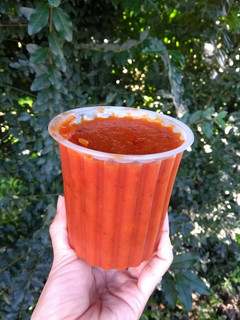 Una foto de Salsa de tomate para frezzar