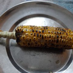 A picture of Makki corn.