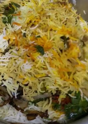 A picture of Sindhi biryani.