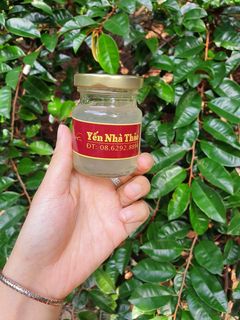 Hình của món Yến chưng lá dứa đường phèn.