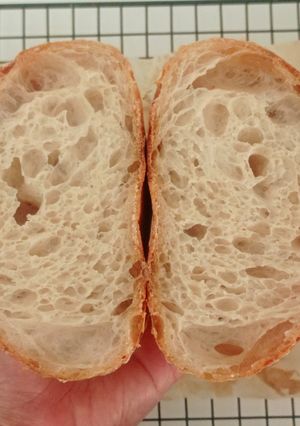 Foto resep Basic Sourdough Bread 88%