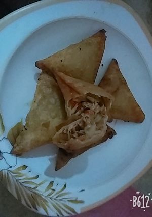 A picture of Chicken Chinese samose.