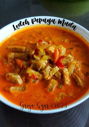 Foto resep Lodeh Pepaya Muda