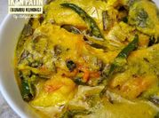 Gambar pesmol ikan patin