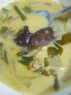 Foto resep Sayur lodeh jawa