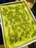 Tiramisu matcha siêu dễ siêu nhanh từ những nguyên liệu tốt nhất