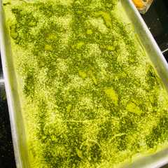 Tiramisu matcha siêu dễ siêu nhanh từ những nguyên liệu tốt nhất-レシピのメイン写真