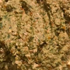 A picture of Olive Dip.