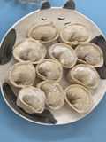Chicken and Shrimp Dumplings
