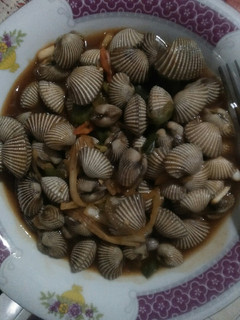 Foto resep Kerang dara saos padang
