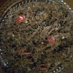 A picture of Dambun nama.