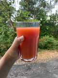 Jus Semangka, Jeruk, Pear, Anggur (Slow Juicer - Tanpa Ampas)