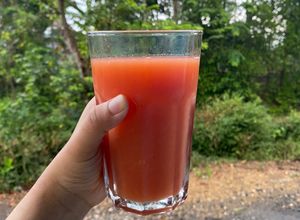 Foto resep Jus Semangka, Jeruk, Pear, Anggur (Slow Juicer - Tanpa Ampas)