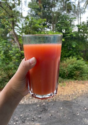 Foto resep Jus Semangka, Jeruk, Pear, Anggur (Slow Juicer - Tanpa Ampas)