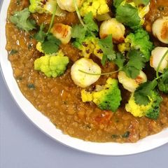 A picture of Grilled scallops /split peas dhal/ romanesco cauliflower.