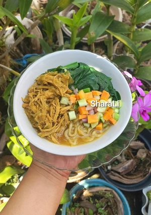 Foto resep 117. Mie Ayam Favorit Keluarga