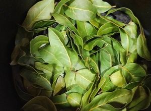 Una foto de Tip para la freidora de aire: secado de hojas de laurel