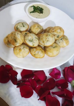 A picture of Paddu.