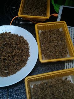 Foto resep Abon Ikan Tongkol