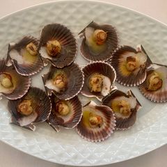 A picture of Grilled Zamburiñas (small scallops).