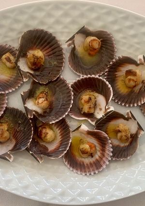 A picture of Grilled Zamburiñas (small scallops).