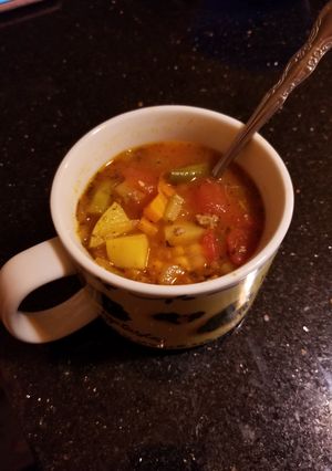 A picture of Burger veggie soup.