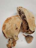 Slow cooked pulled chicken and mushroom mini pies. gluten free with walnuts