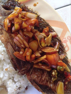 Foto resep Ikan Mujair sambal Kecap