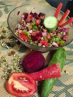 પૌષ્ટિક સલાડ(Healthy salad recipe in Gujarati) રેસીપી મુખ્ય ફોટો