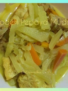 Foto resep Lodeh Pepaya Muda