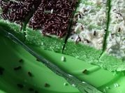 Gambar bolu pandan tanpa mixer