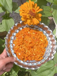 عکسی از دستور ☆☆میرزا قاسمی☆☆