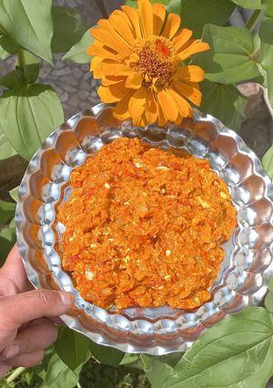 عکسی از دستور ☆☆میرزا قاسمی☆☆