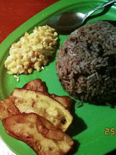 Una foto de Pinto costarricense
